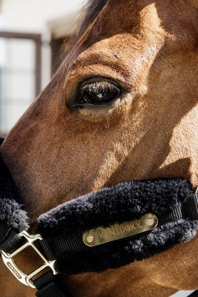 Kentucky kantar podszyty futrem Soft - czarny