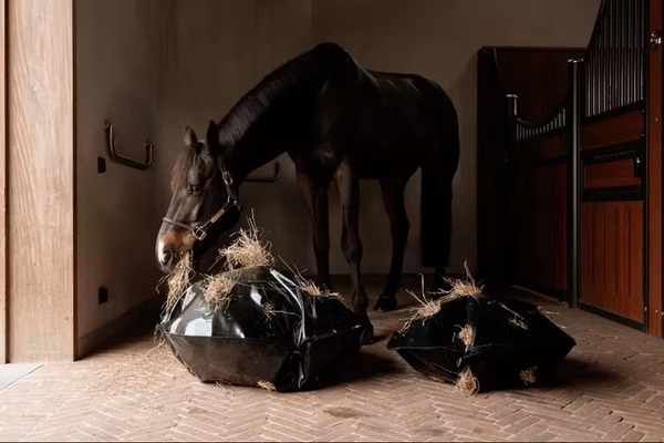 Worek na siano Kentucky Play & Haybag Slow Feeder Round