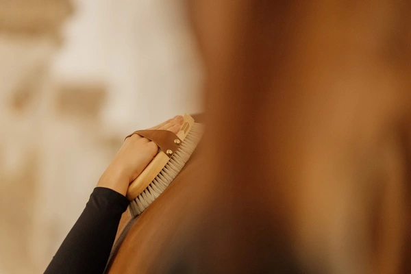 Szczotka nabłyszczająca do sierści - Kentucky Grooming Deluxe