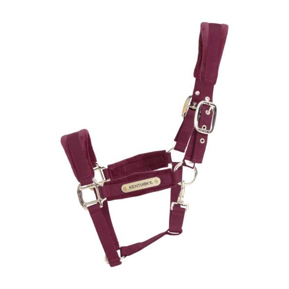 Kentucky kantar anatomiczny Velvet - bordowy