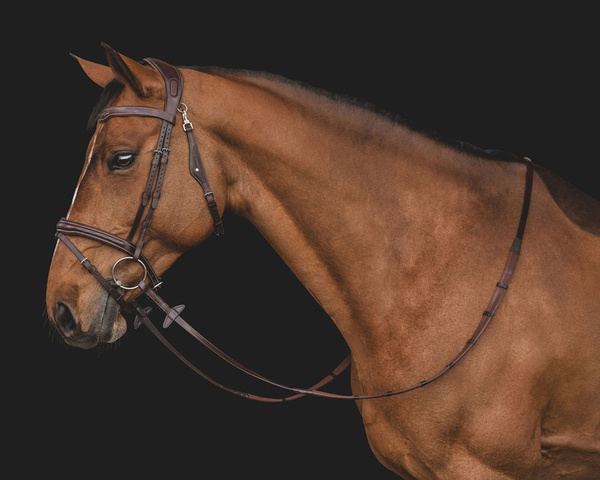 Ogłowie Equiline z przeszyciami BJ301 - brązowe