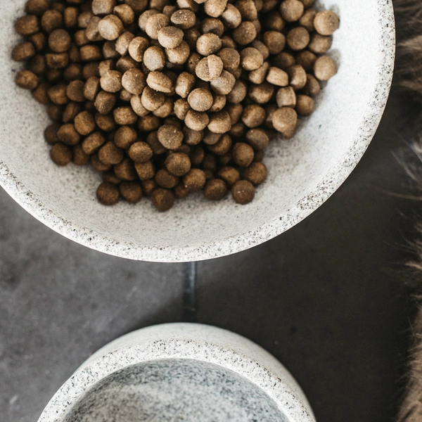 Granitowa miska dla psa Kentucky duża