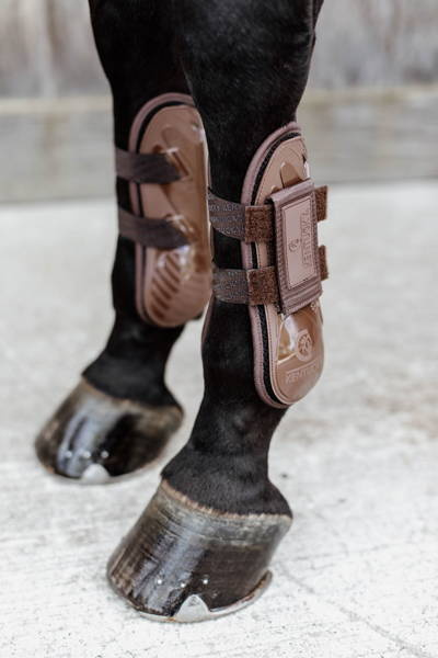 Kentucky ochraniacze Tendon Velcro - brązowe