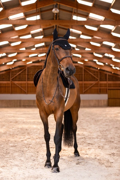 Nauszniki Samshield FlyShield Emroidery - czarne