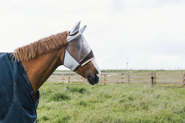 Kentucky maska na owady Skin Friendly - z uszami szara