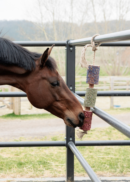 Kentucky gryzak dla koni Relax Horse Toy - freedom